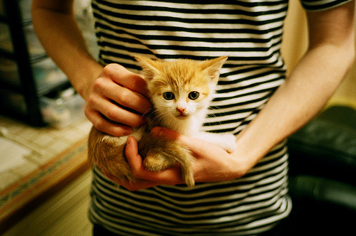 全国青少年“希望之籽”篮球培养计划在上海实施，希望杯篮球比赛