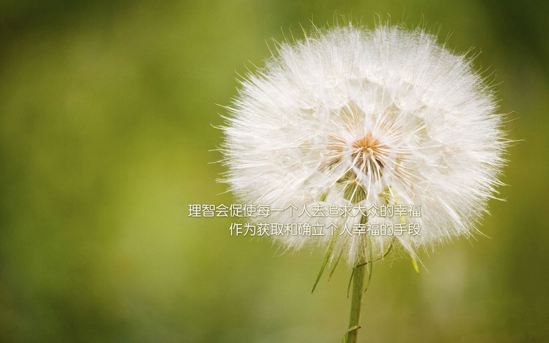 leyu乐鱼在线登录入口-大型古老龙舟赛，传承民族文化的水上盛事，龙舟大赛视频