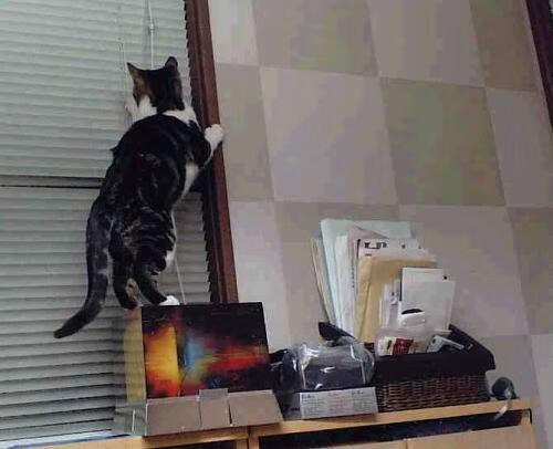 乐鱼体育平台官网-德甲推行灵活战术，精彩比赛层出不穷，德甲联赛特性