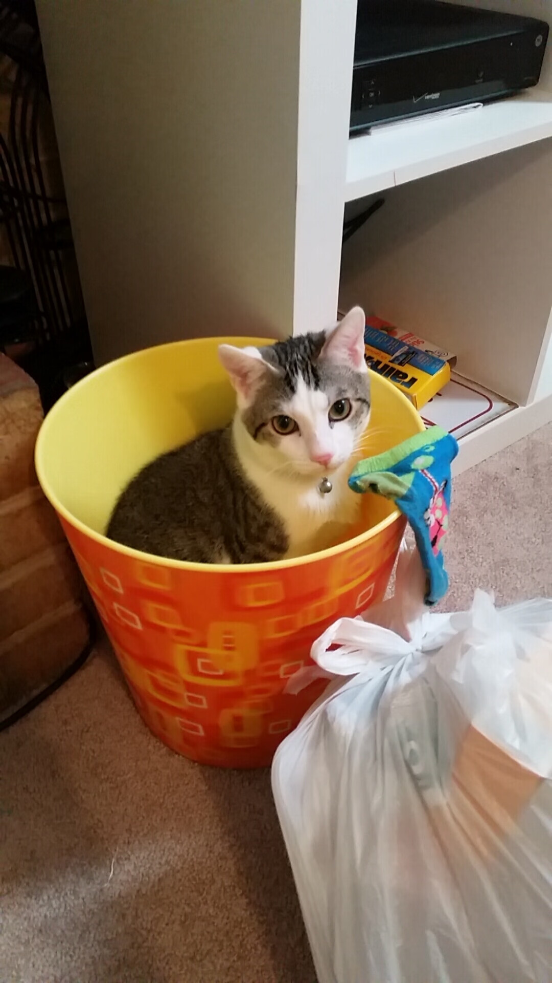 欧冠“最强阵容”年度评比揭晓,欧冠目前最强的球队