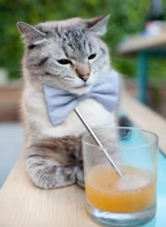 热那亚主场击败AC米兰,波托罗绝杀功臣,热那亚球员