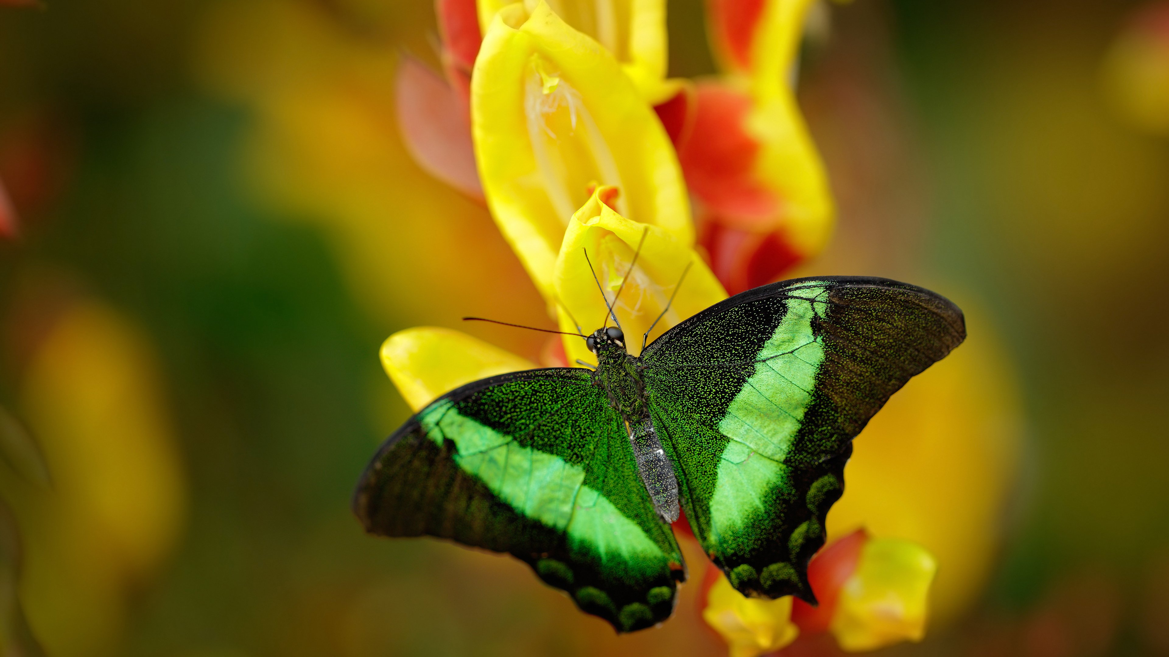 乐鱼体育APP官方下载-防守才是赢球的关键吗，防守才是赢球的关键吗