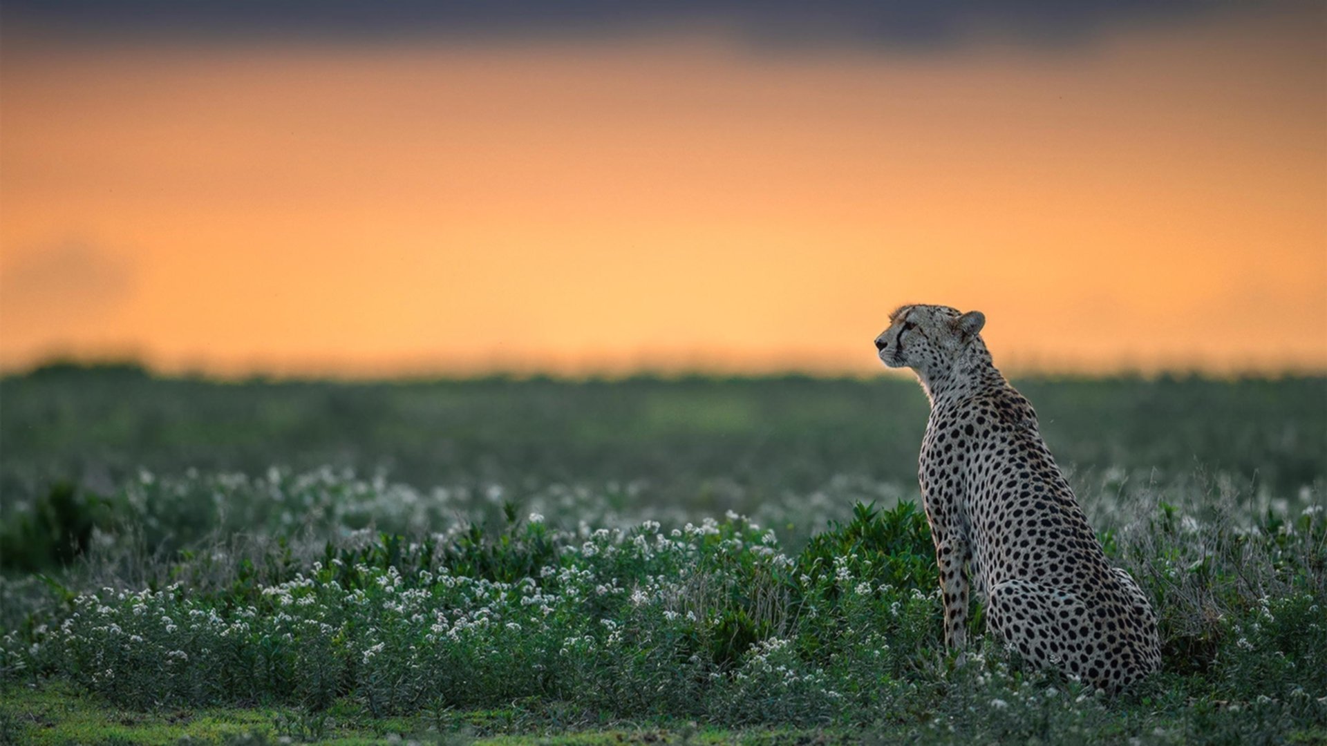 乐鱼体育App下载-防守效率是否仍是总冠军标准，防守赢得总冠军谁说的