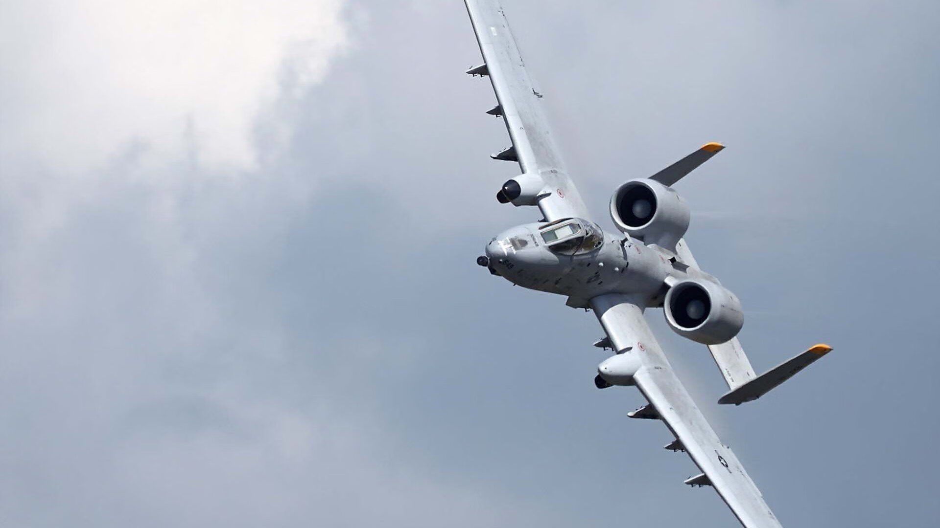 阿尔阿赫利主场表现抢眼，阿尔阿赫利vs帕尔梅拉斯