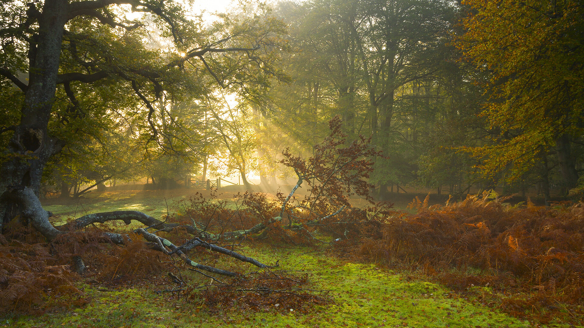 leyu乐鱼-风云变幻：湖人对阵湖人之战或将上演逆转，湖人队对战