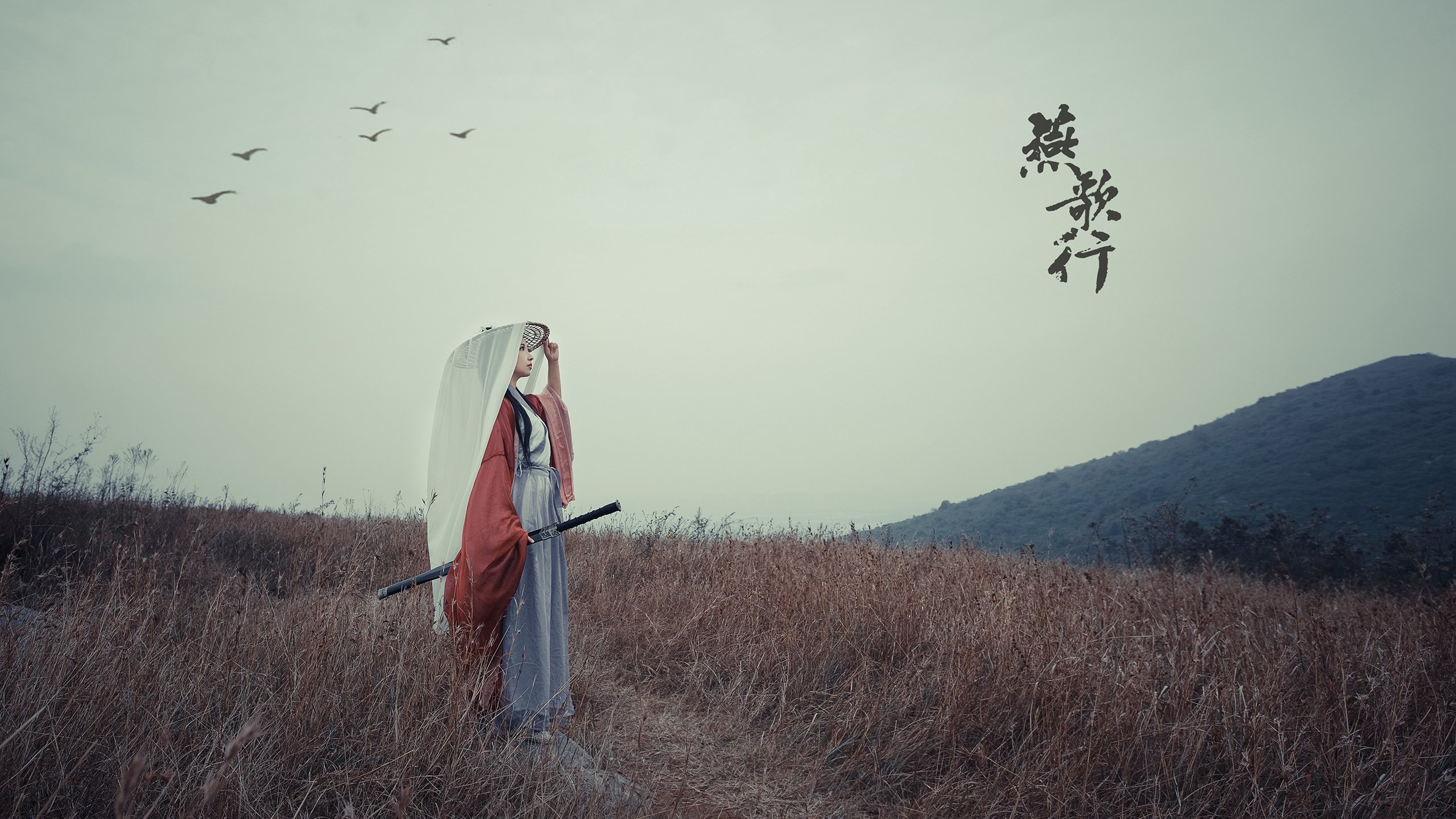 NBA球队战术体系优化与数据支持分析,nba球队战术图解