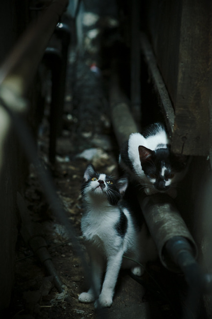 全国青少年卡丁车锦标赛在武汉火热进行,青少年卡丁车大赛