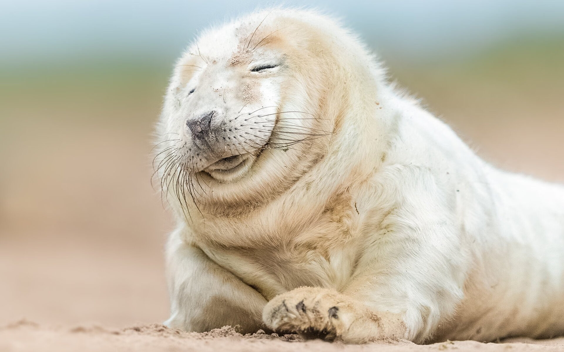 篮球专项技能动作标准化训练体系建设,篮球技能动作简略说明