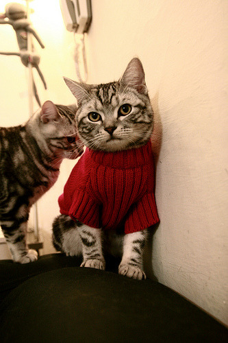 DOTA2国际赛事奖金总额突破历史新高，dota2国际邀请赛历届奖金