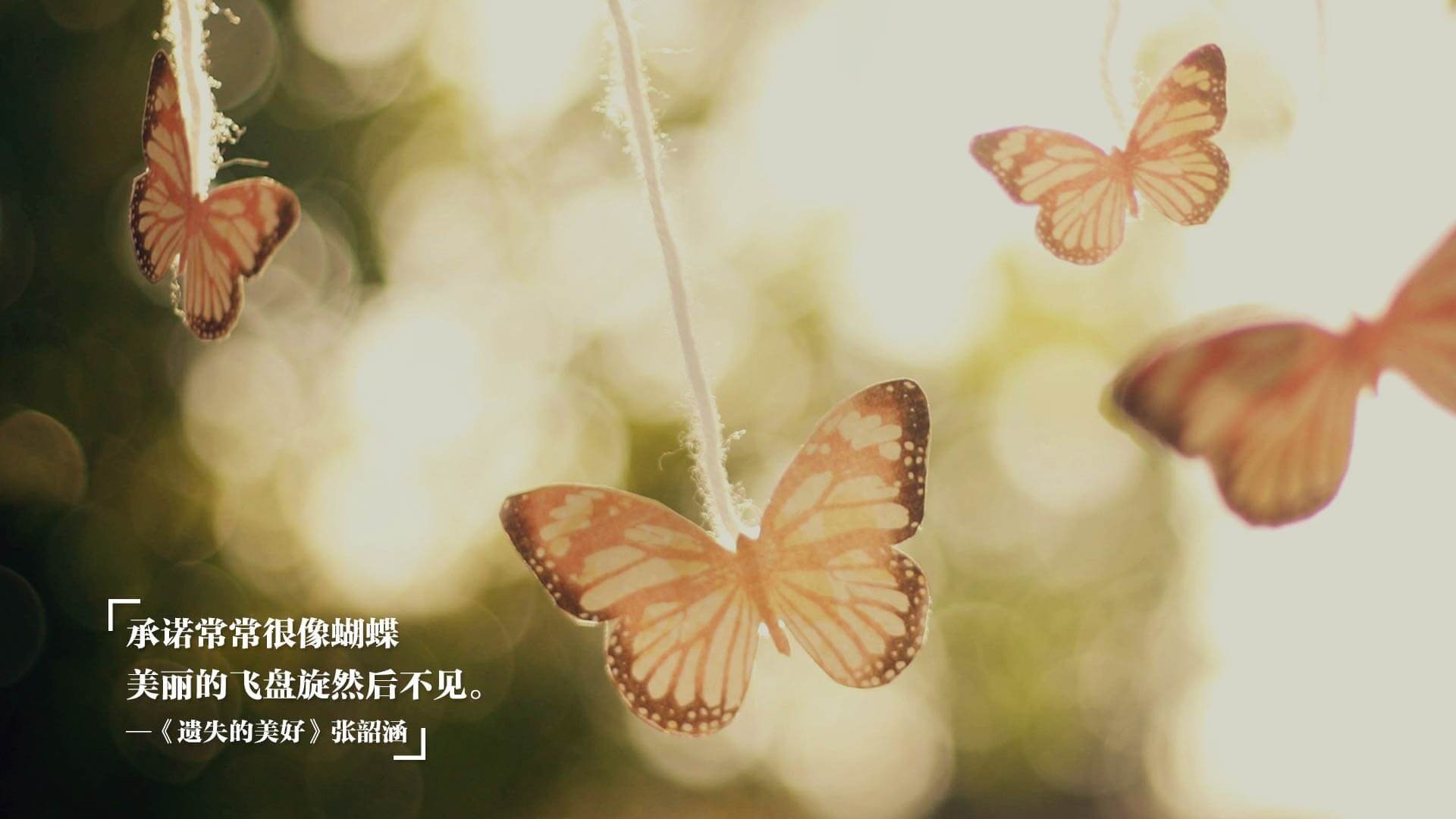 中国女篮以速度拉开空间创造机会,中国女 篮