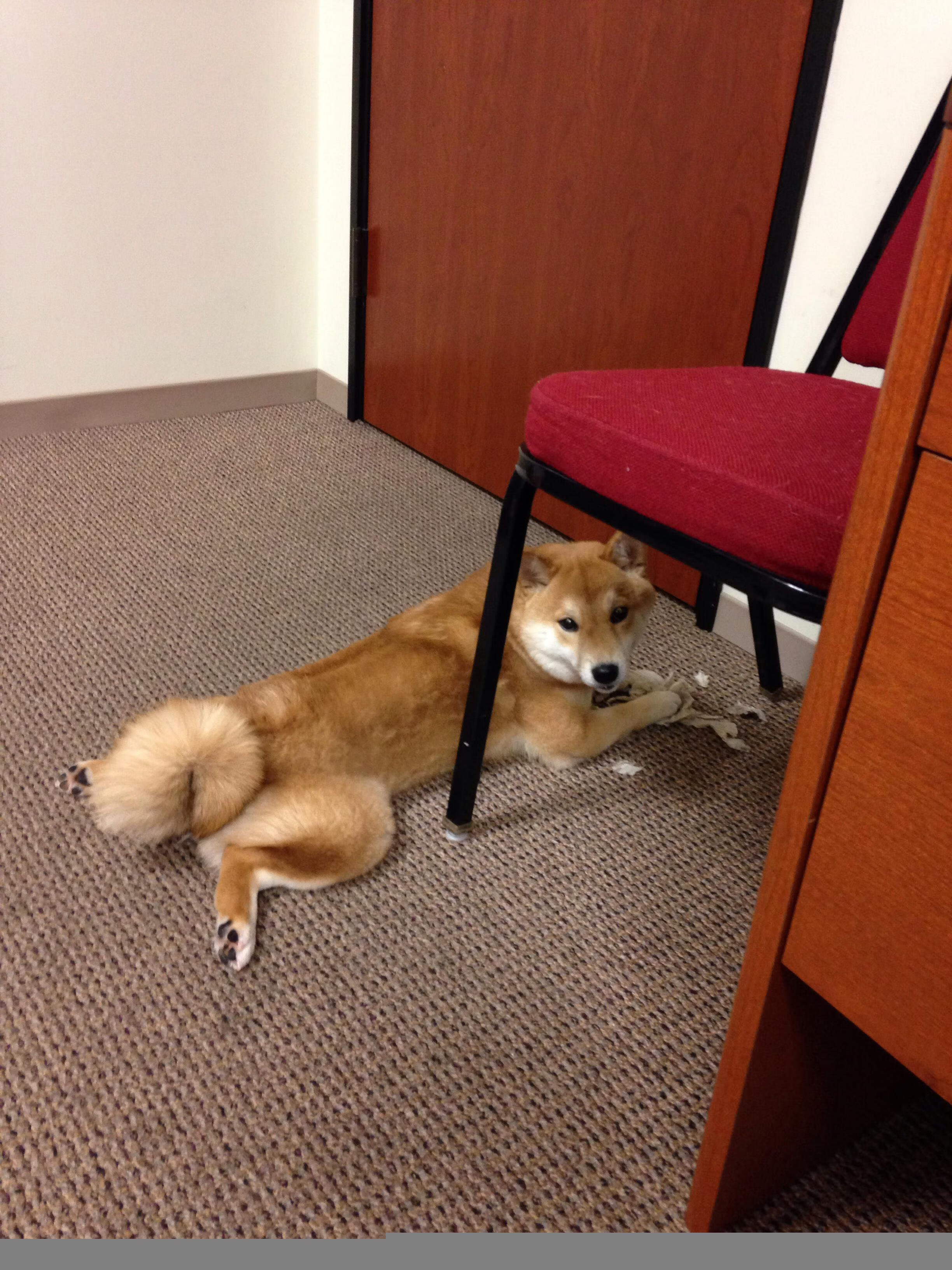 中国女篮提升三分线外投射能力,女篮3分线和男篮一样吗