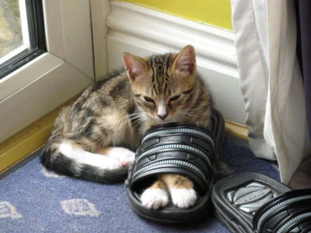 乐鱼体育平台官网-五大联赛出场球员跑动距离与战术体系关系，球员跑动距离数据