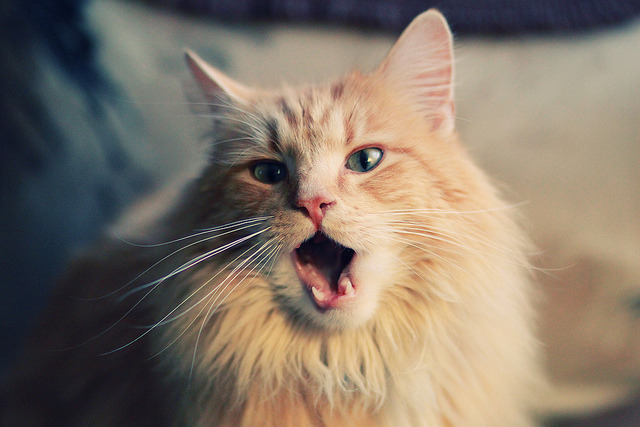 拜仁定位球设计精妙,多次制造威胁,拜仁目标