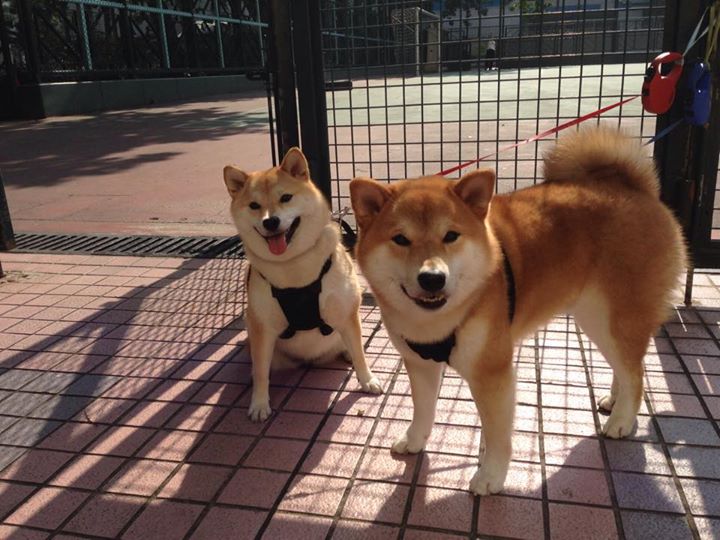 乐鱼官网-巴特尔为袋鼠队带来稳定防守，成为后防核心，nba巴特尔