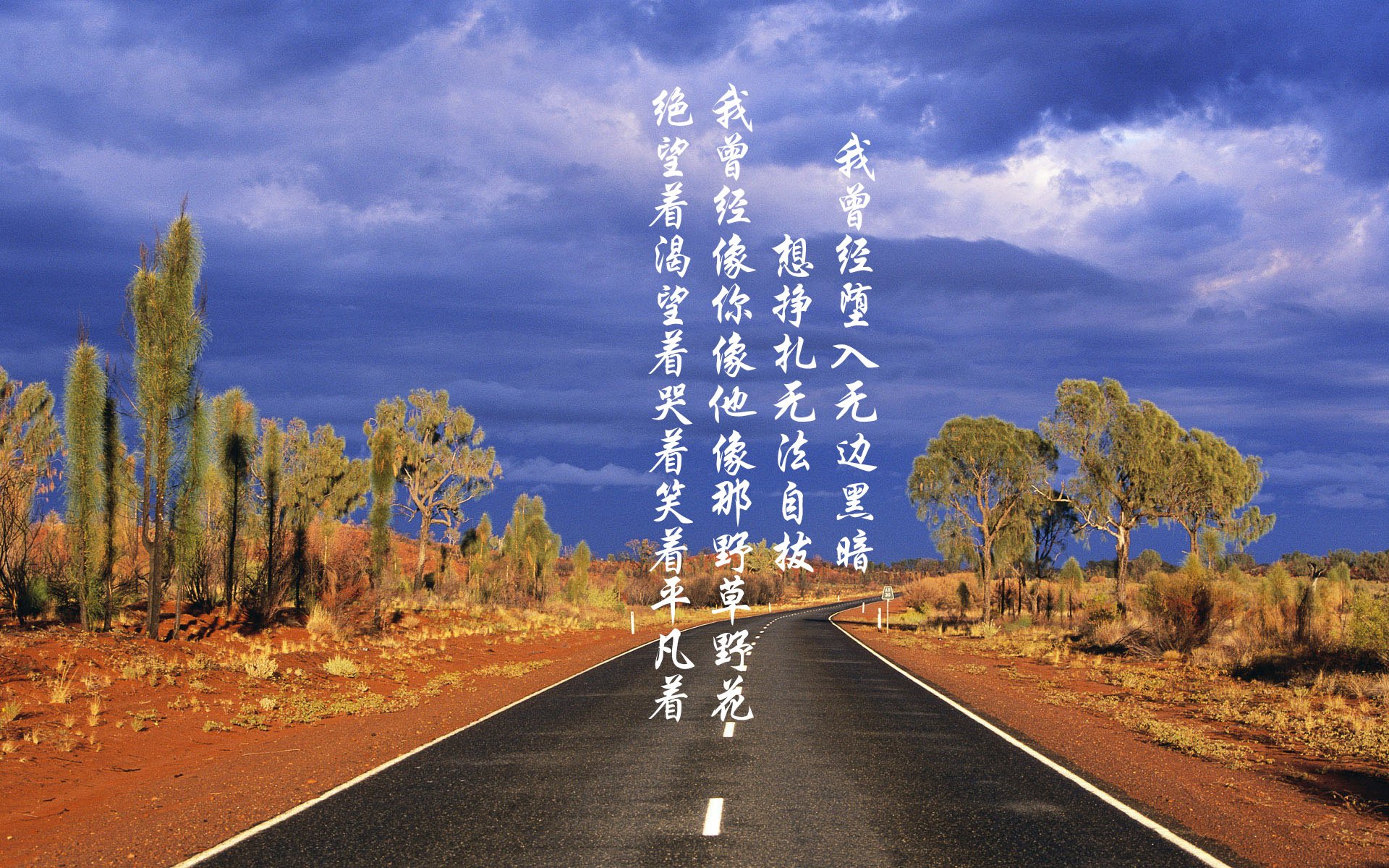 leyu.com-比利时蝶泳节奏把控精准，比利时花样游泳