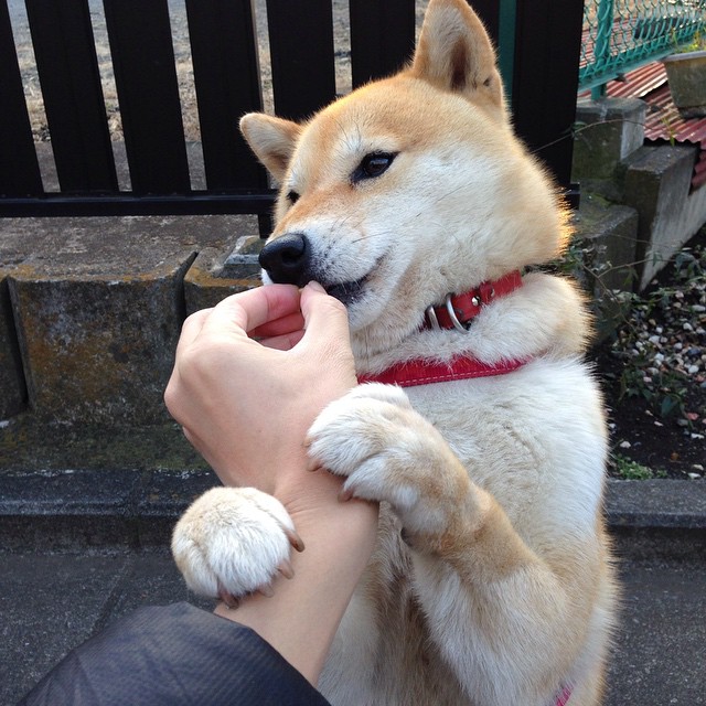 自由泳短程中立代表队A突破个人纪录,自由泳冠军速度