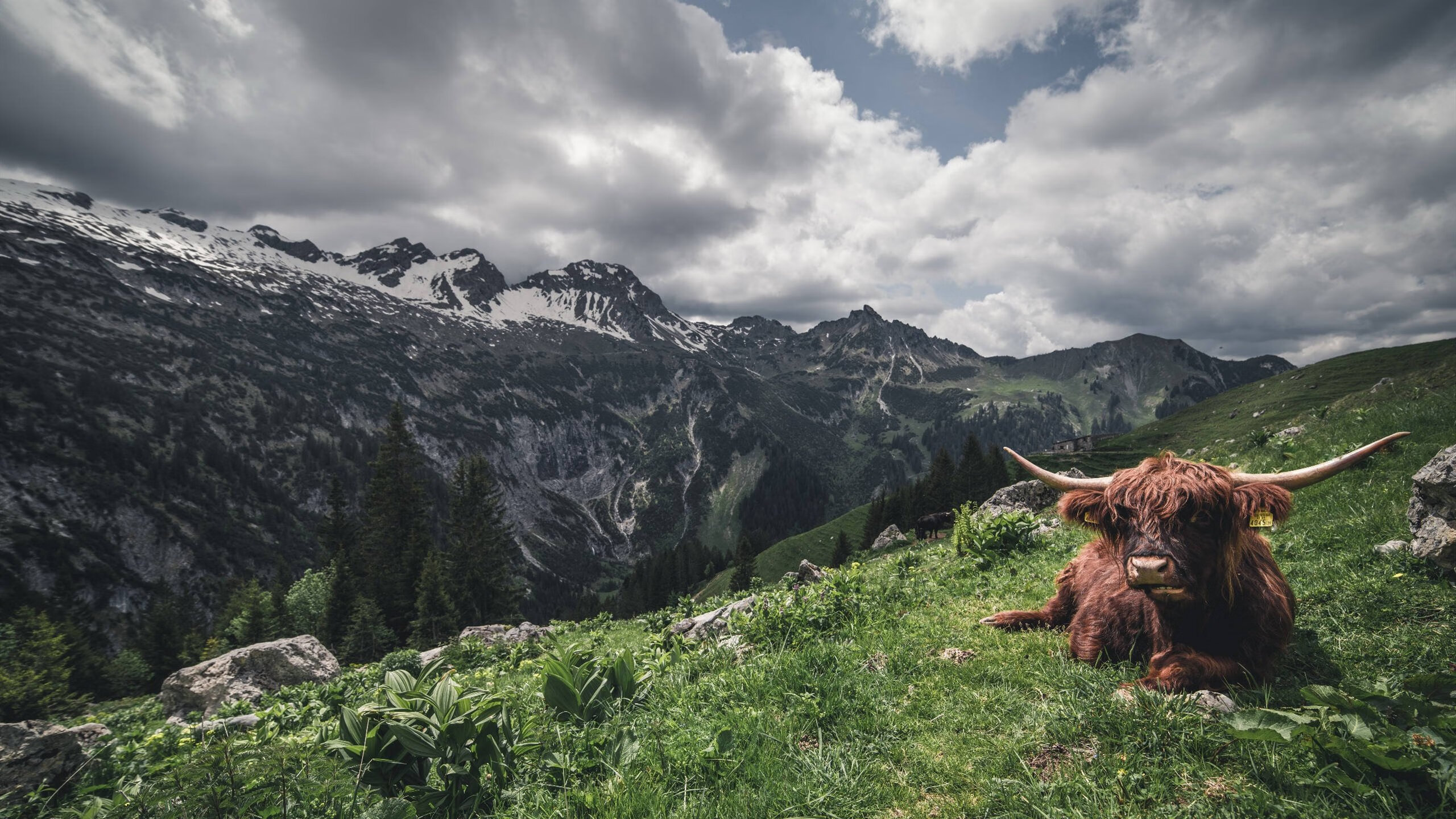 APP下载 LY Sports-青训体系日趋成熟为一线队补充稳定新鲜血液储备，青训的条件